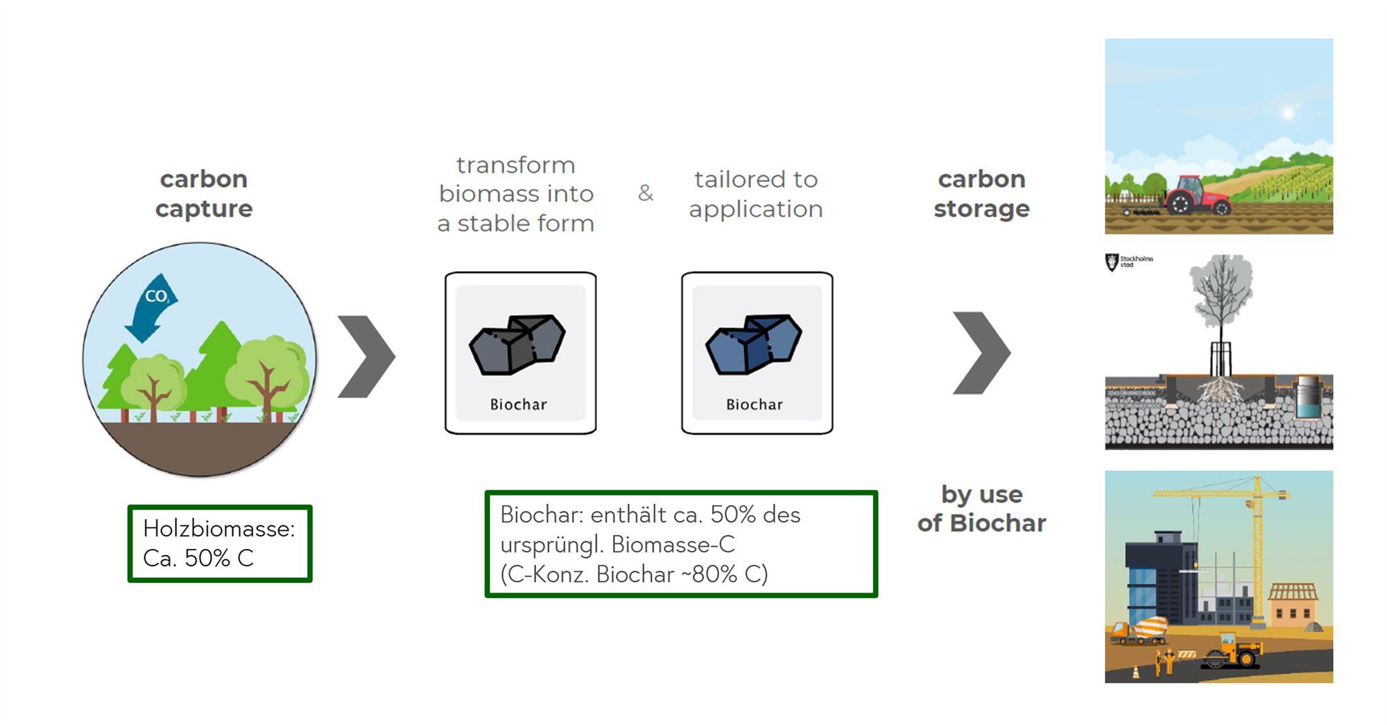 Schema in vier Schritten: CO₂-Aufnahme durch Pflanzen, Umwandlung der Biomasse zu Pflanzenkohle, Anpassung an die Anwendung, Speicherung