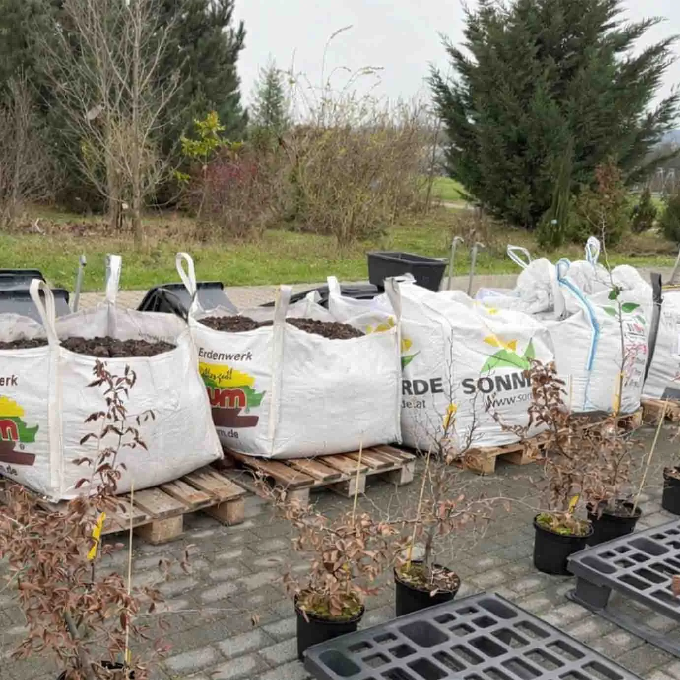 Mehrere Big Bags mit Substrat auf Paletten auf der Versuchsfläche