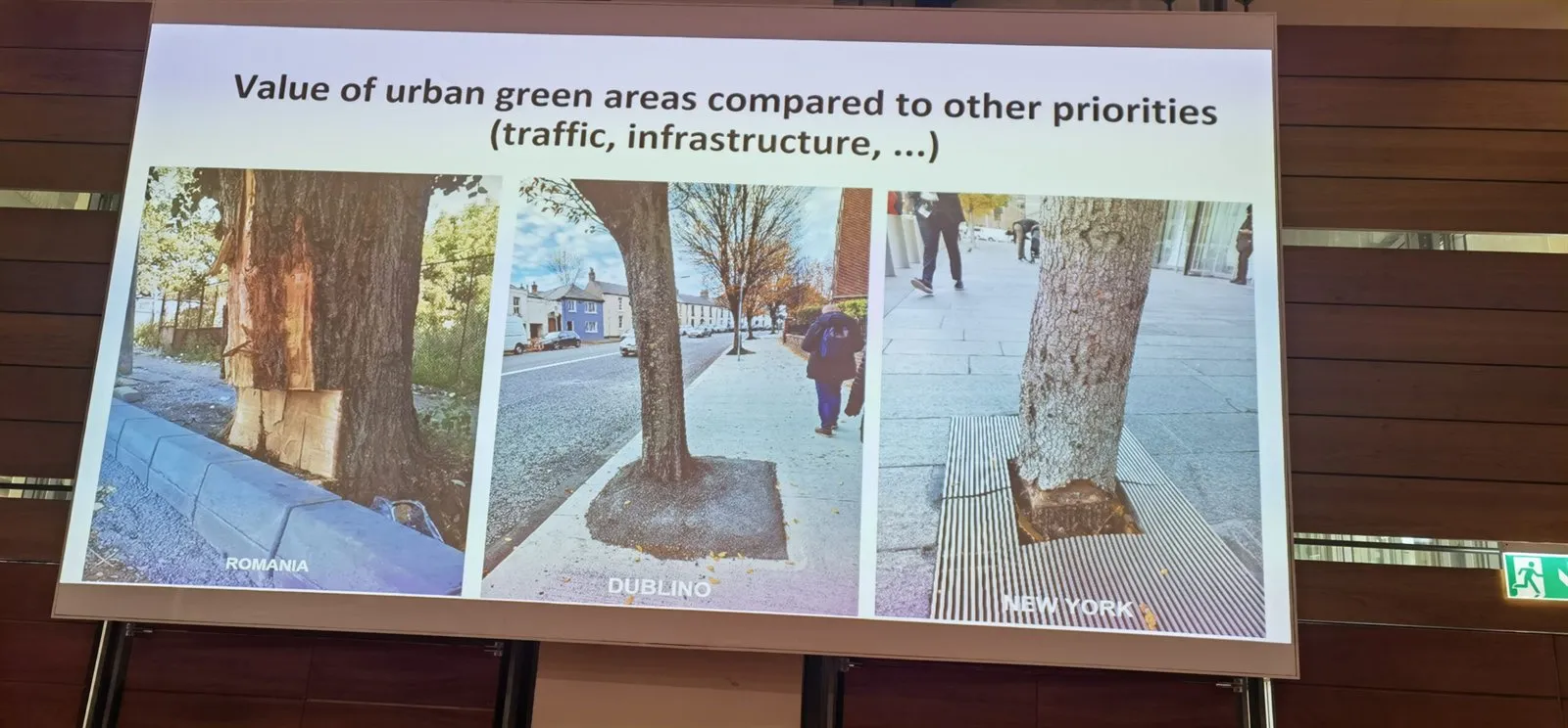 Folie „Value of urban green areas compared to other priorities“ mit Fotos von Stadtbäumen
