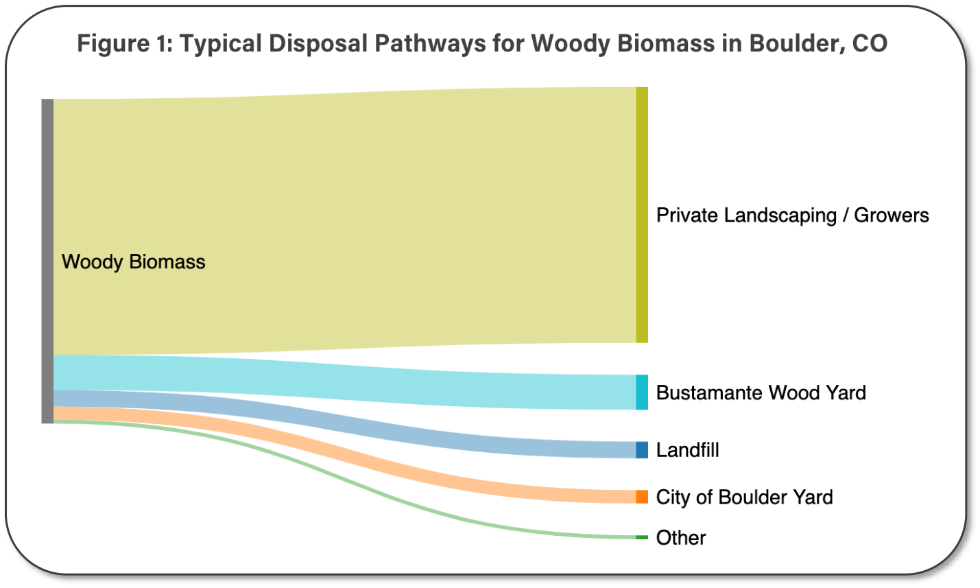 Grafik zu den bestehenden Verwertungswegen holziger Biomasse in Boulder