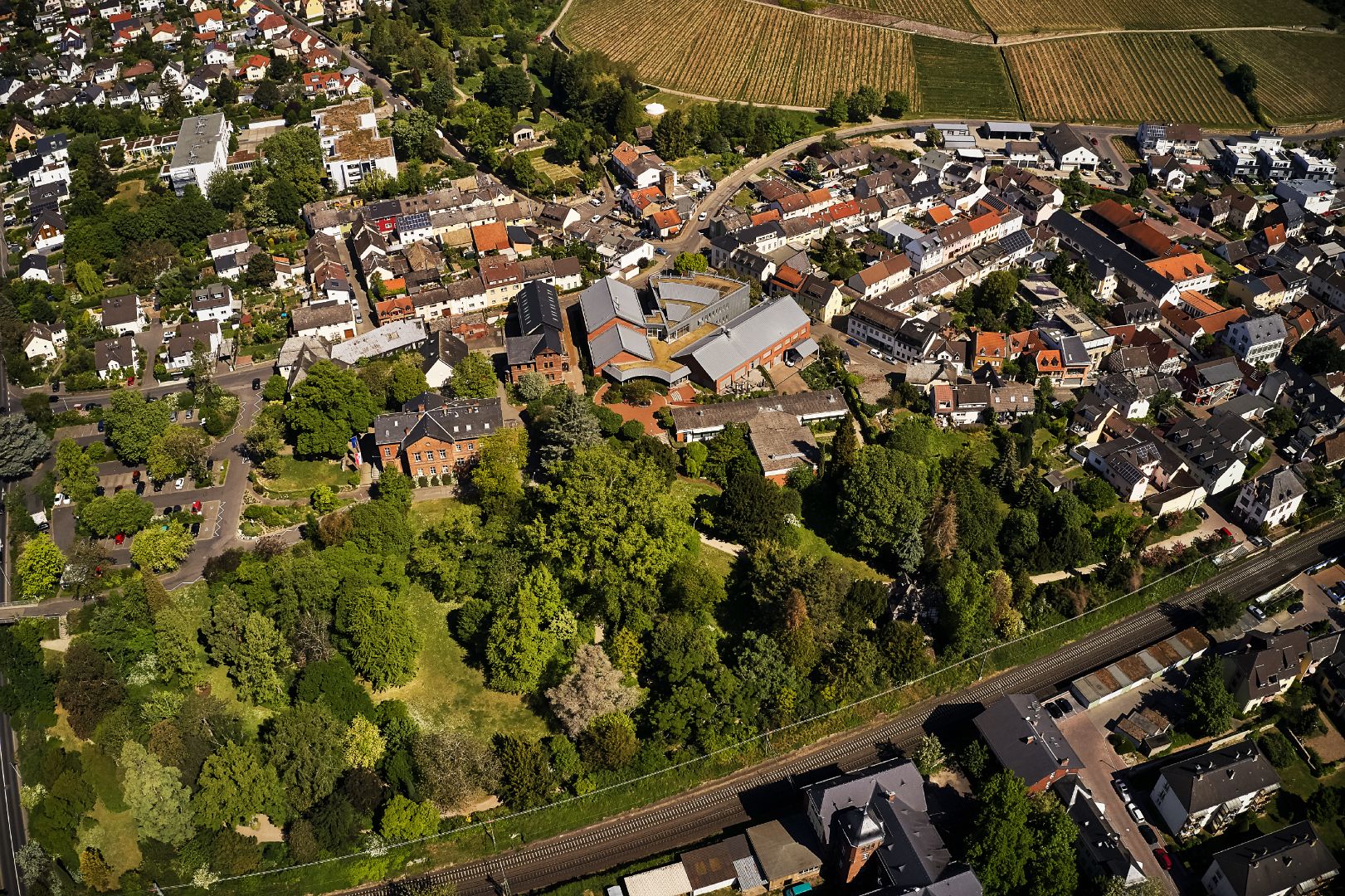 Luftbild des Campus der Hochschule Geisenheim University mit Gebäuden, Parkanlagen und Rebflächen