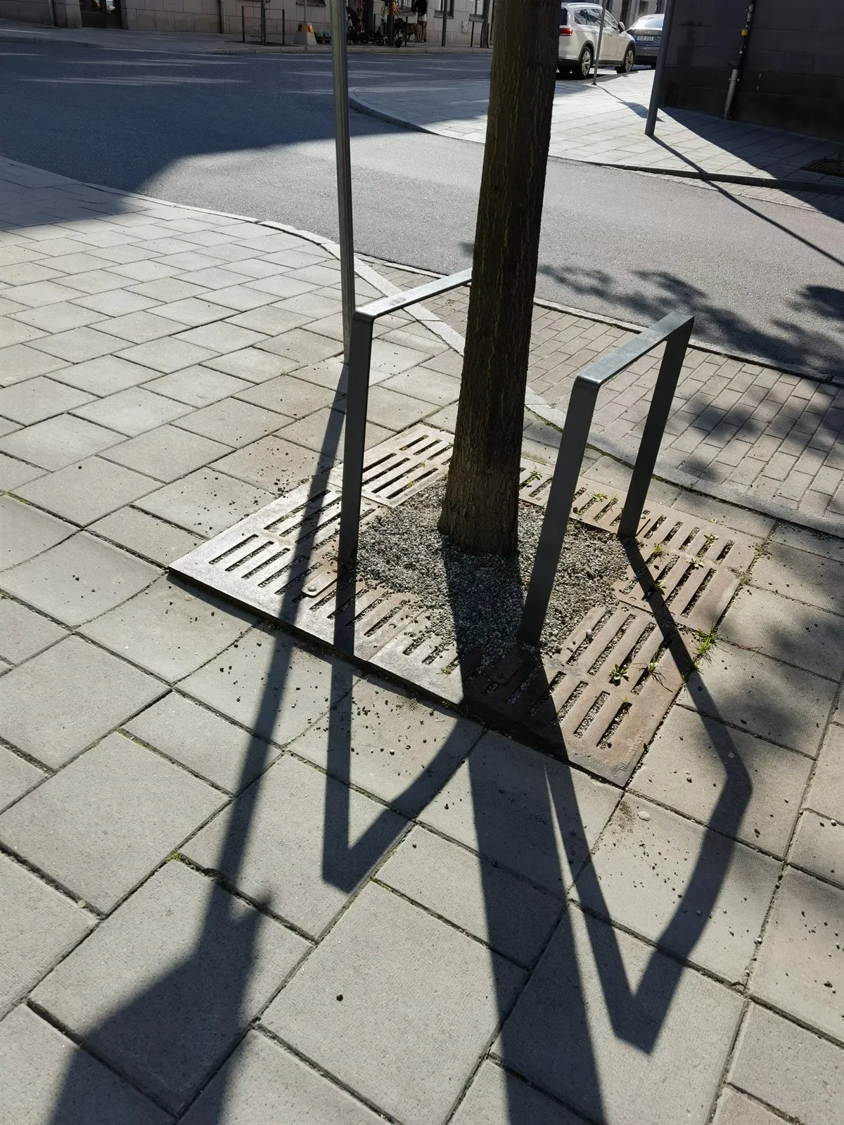 Baumrost aus Metall um einen jungen Stamm im Pflaster, daneben ein Fahrradbügel