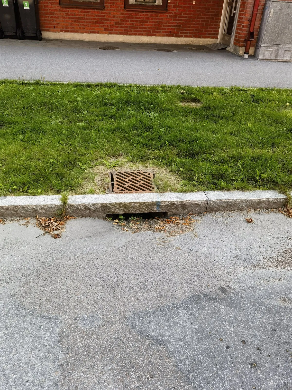 Einlaufrost im Bordstein vor einer Rasenfläche
