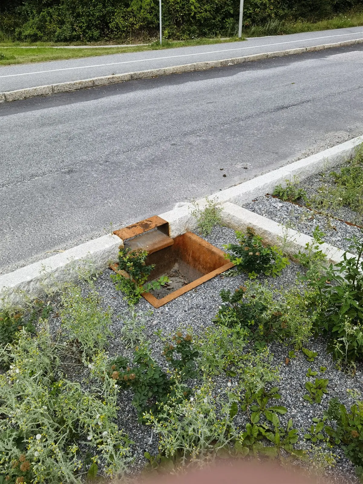 Einlaufkasten aus Cortenstahl in einem Pflanzstreifen neben der Fahrbahn