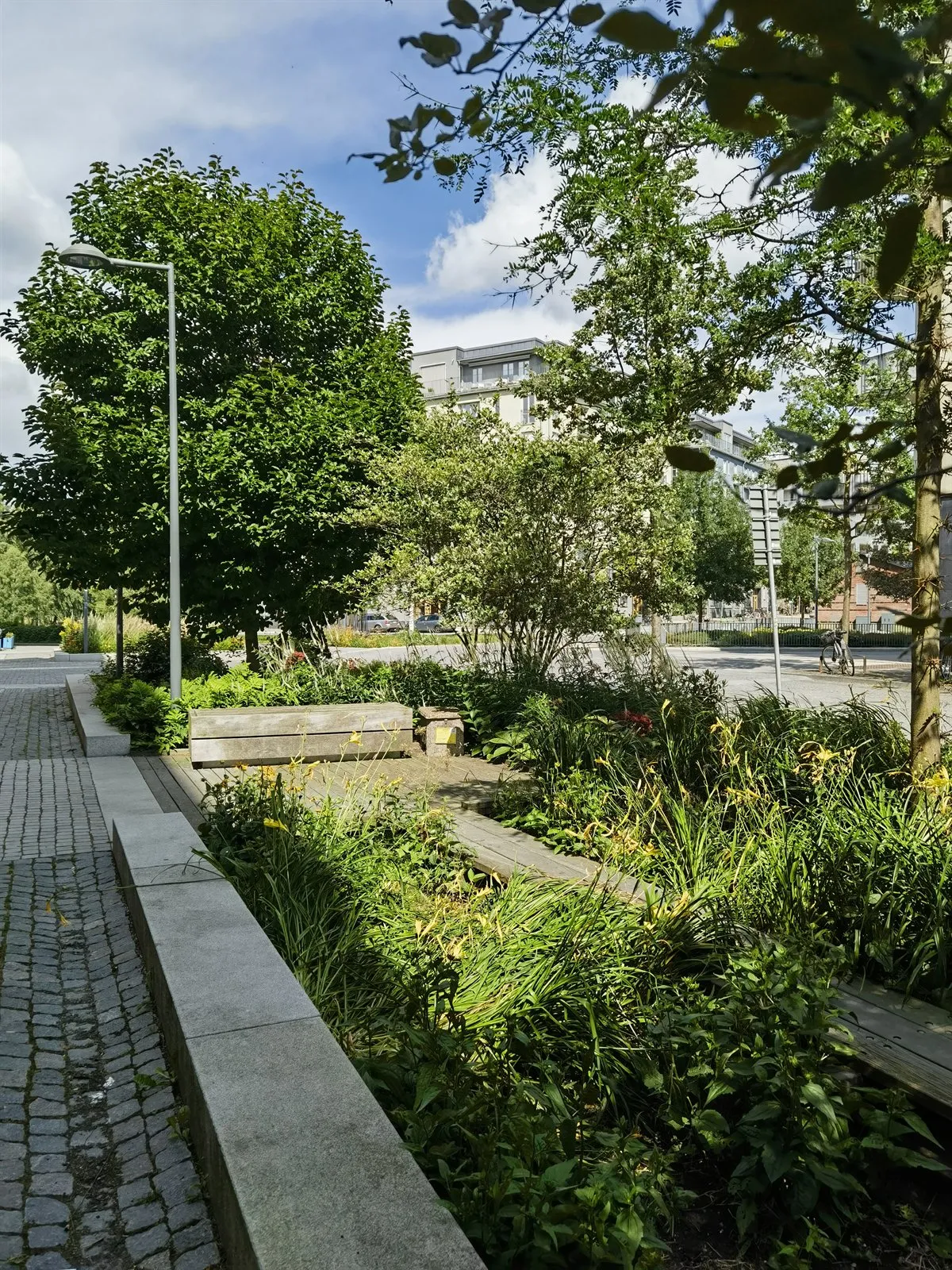 Grüne Straße mit erhöhten Pflanzbeeten, Bäumen und Pflasterweg