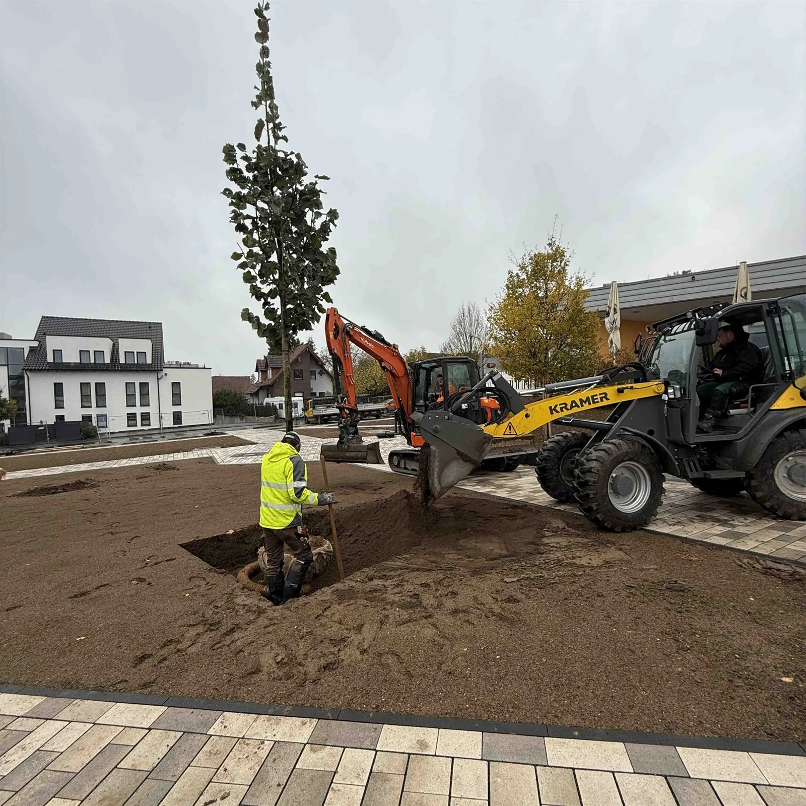 Pflanzung eines Baumes mit Radlader, Arbeiter mit Warnweste