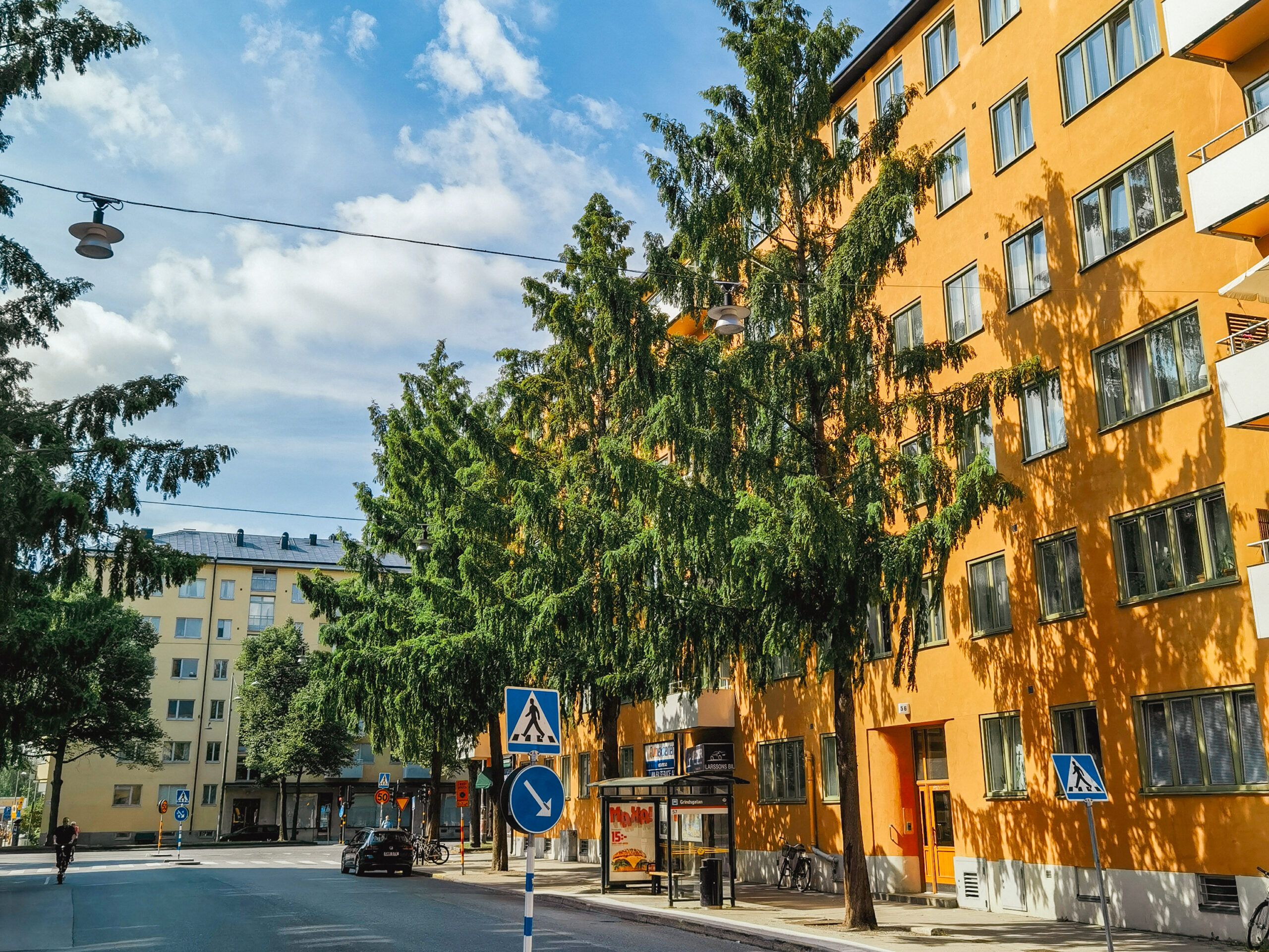 Straße mit hohen Bäumen vor einer orangefarbenen Häuserzeile, Zebrastreifen im Vordergrund