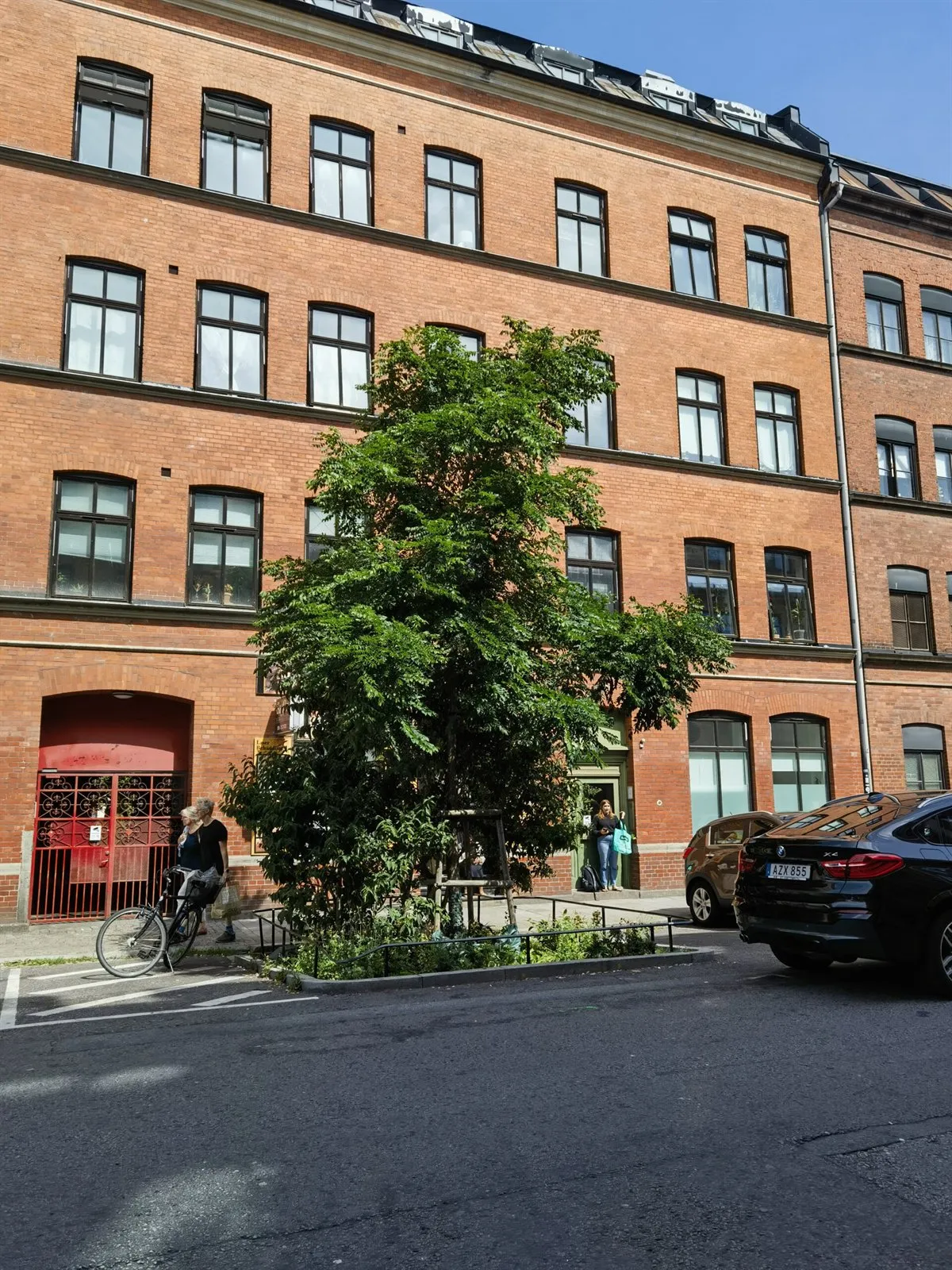 Baum mit dichtem Laub und Unterpflanzung vor einem Backsteinhaus, daneben eine Parkbucht