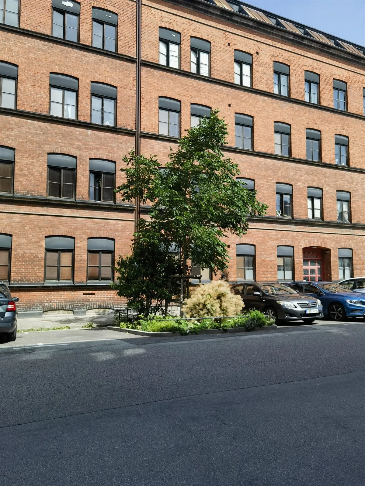 Weitere Ansicht eines Straßenbeets mit Baum vor einem Backsteinhaus