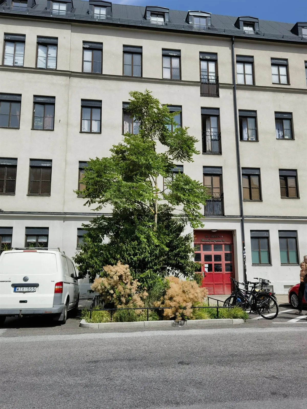 Straßenbaum mit Gräsern und Sträuchern vor dem Eingang Monbijougatan 16, links und rechts parkende Fahrzeuge