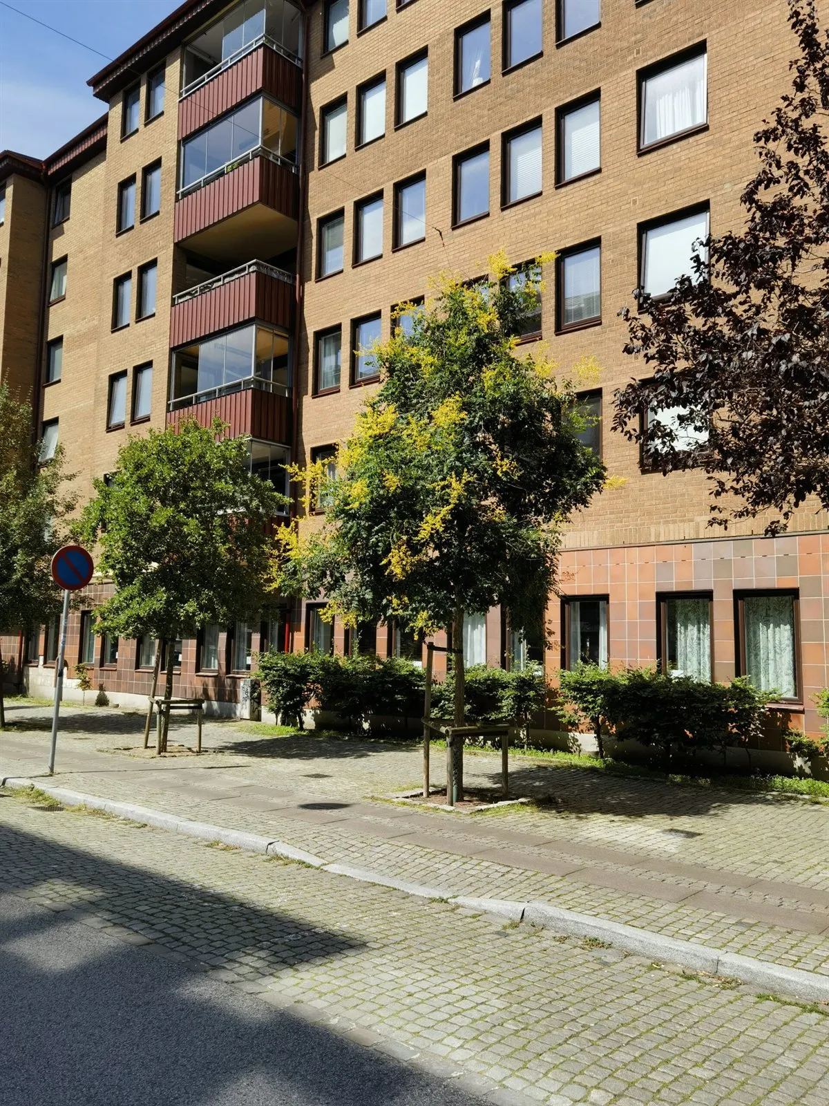 Junge Bäume entlang eines Gehwegs vor einem Backsteingebäude
