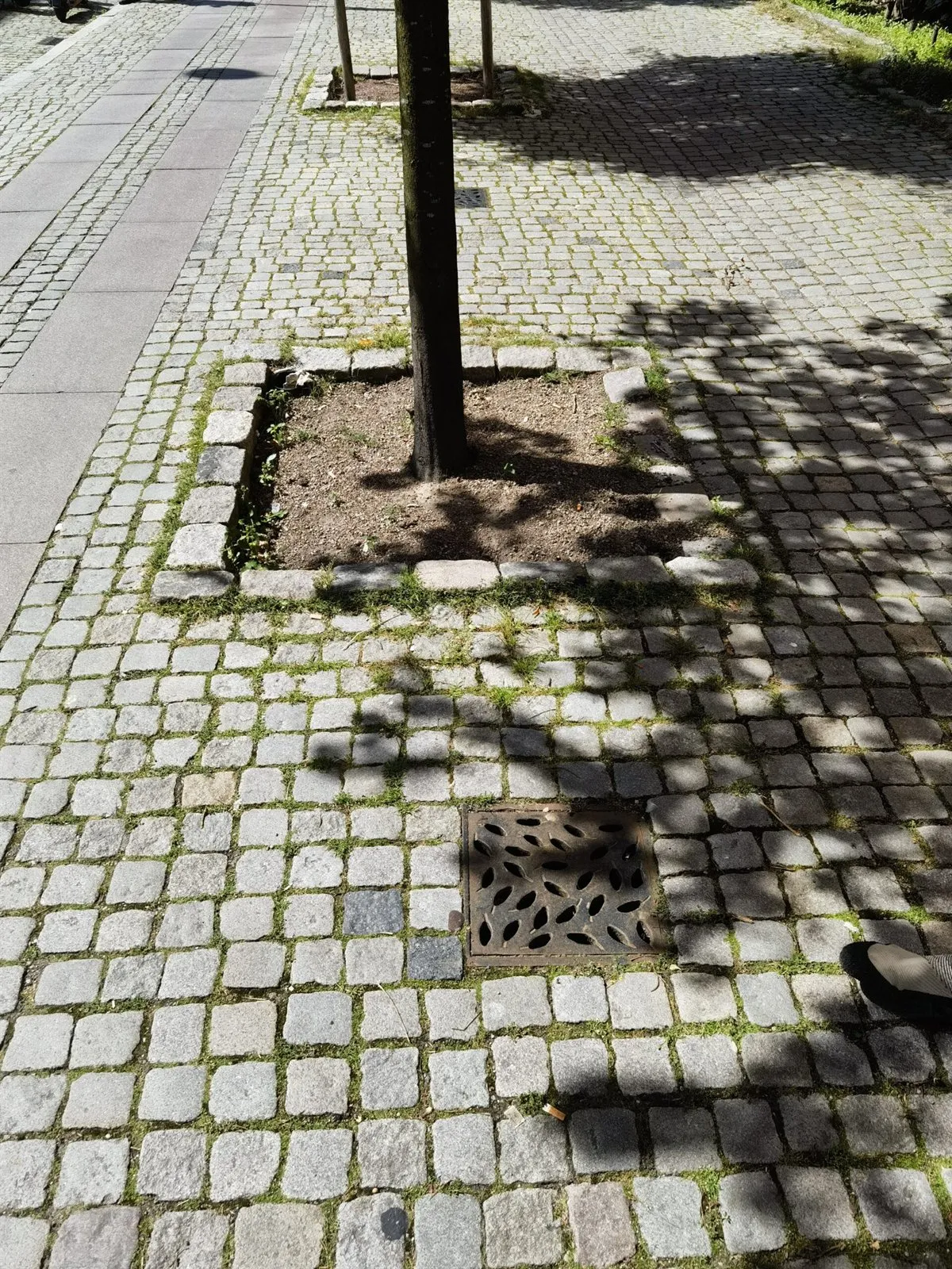 Offene Baumscheibe in Natursteinpflaster und ein quadratischer Einlaufrost im Vordergrund