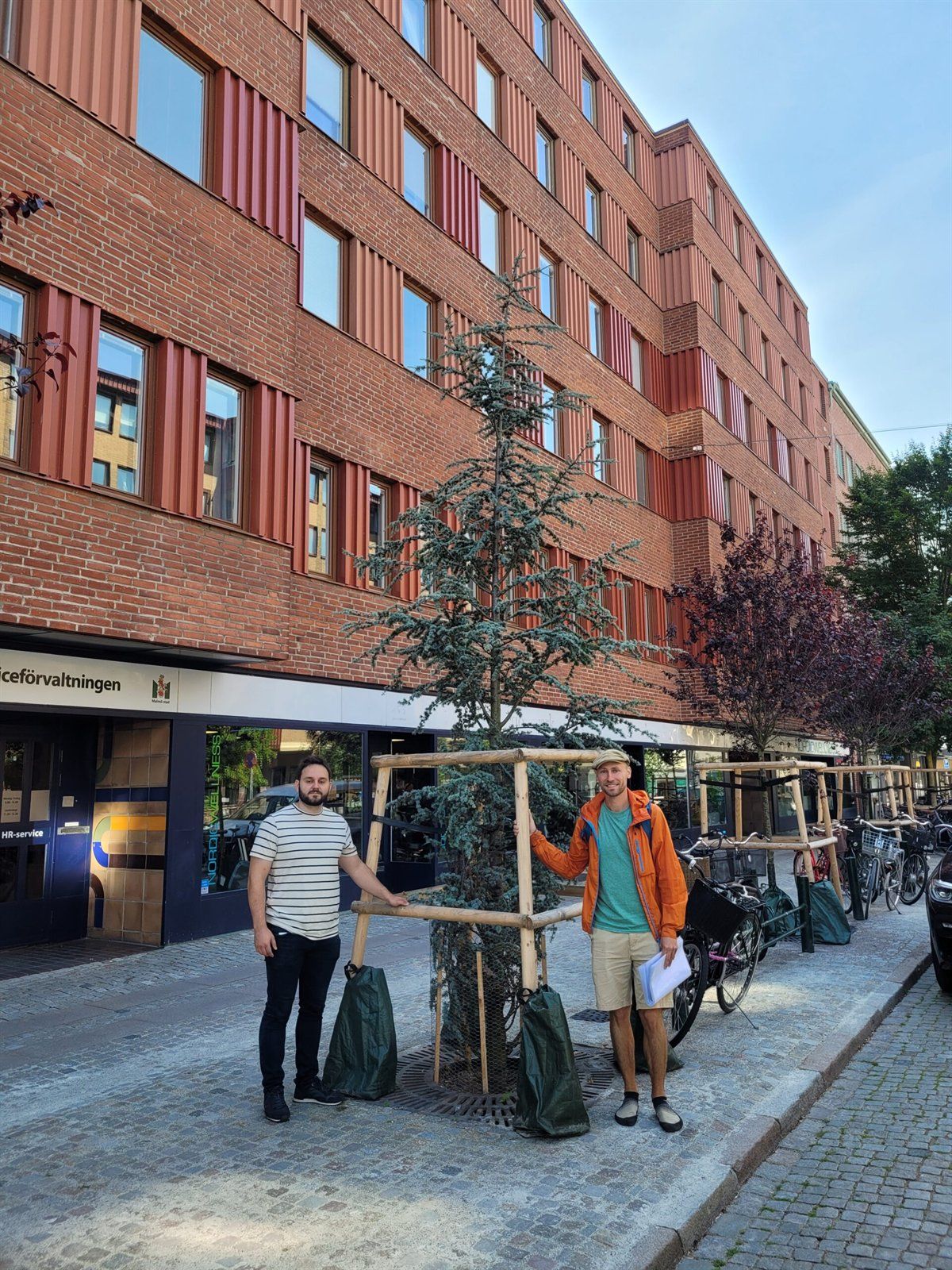 Personen besichtigen einen jungen Baum mit Stützgerüst auf einem Platz