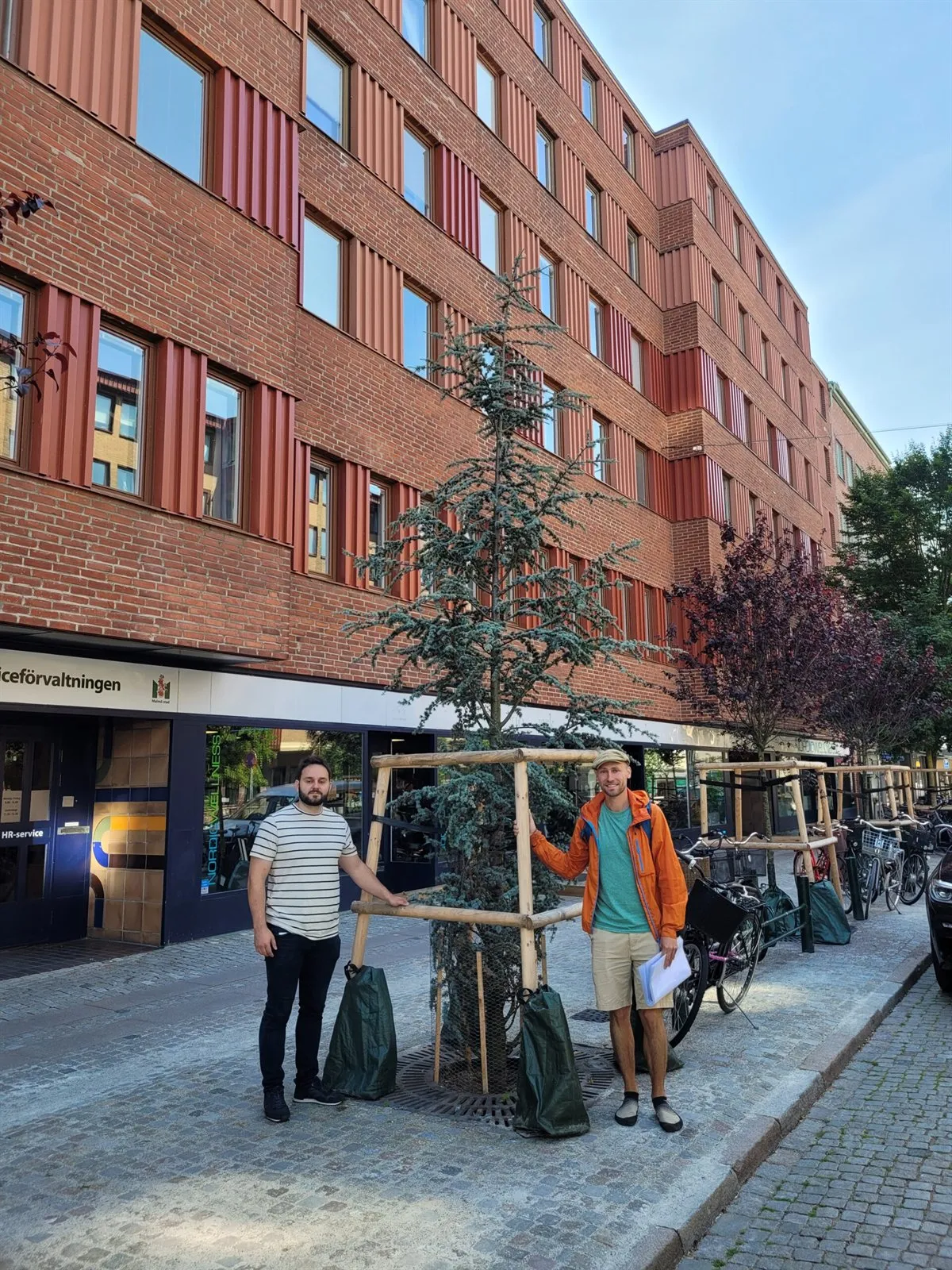 Teilnehmende der Studienreise neben einem jungen Nadelbaum mit Stützgerüst und Bewässerungssäcken am Gehweg