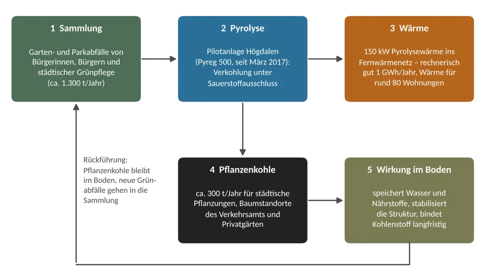 Schema des Pflanzenkohle-Kreislaufs in Stockholm in fünf Schritten: Sammlung, Pyrolyse, Wärme, Pflanzenkohle, Wirkung im Boden
