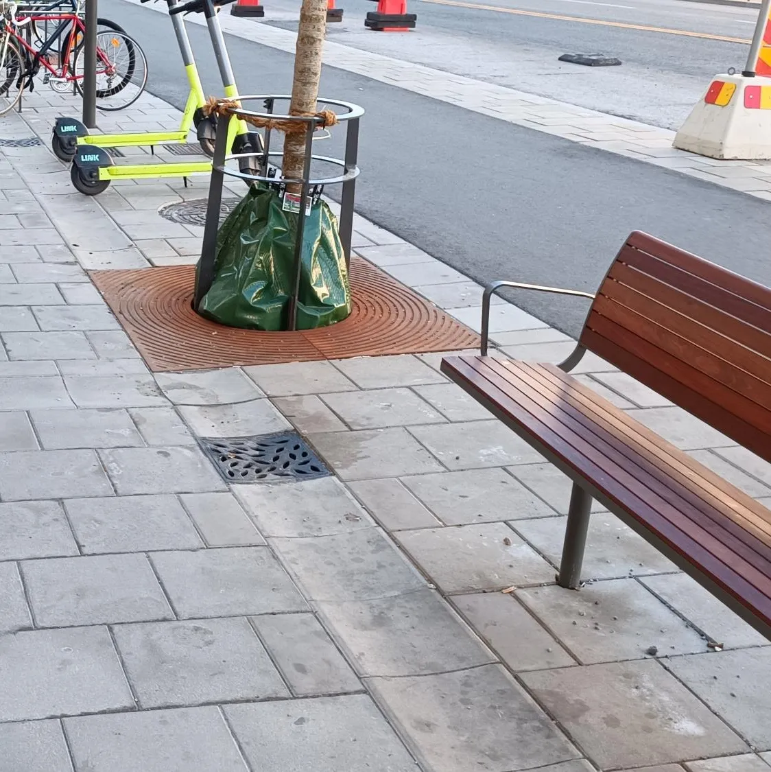 Fertiggestellter Baumstandort mit Baumrost, Bewässerungssack und Einlauf