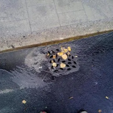 Einlauf mit Laub auf einer asphaltierten Fläche