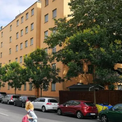 Straßenbaum mit breiter Krone vor einem gelben Wohngebäude