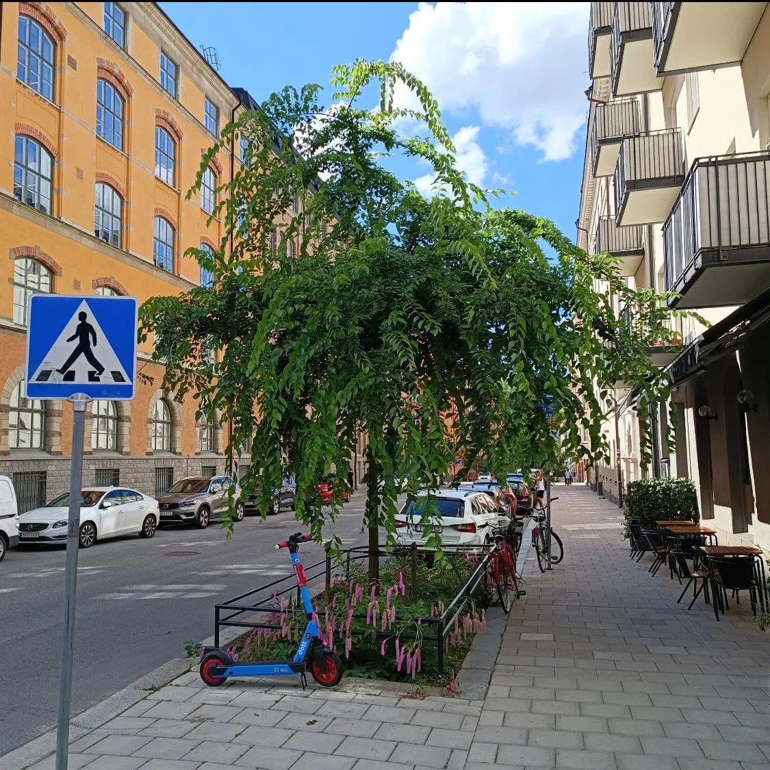 Straßenbaum mit Unterpflanzung und Schutzgeländer