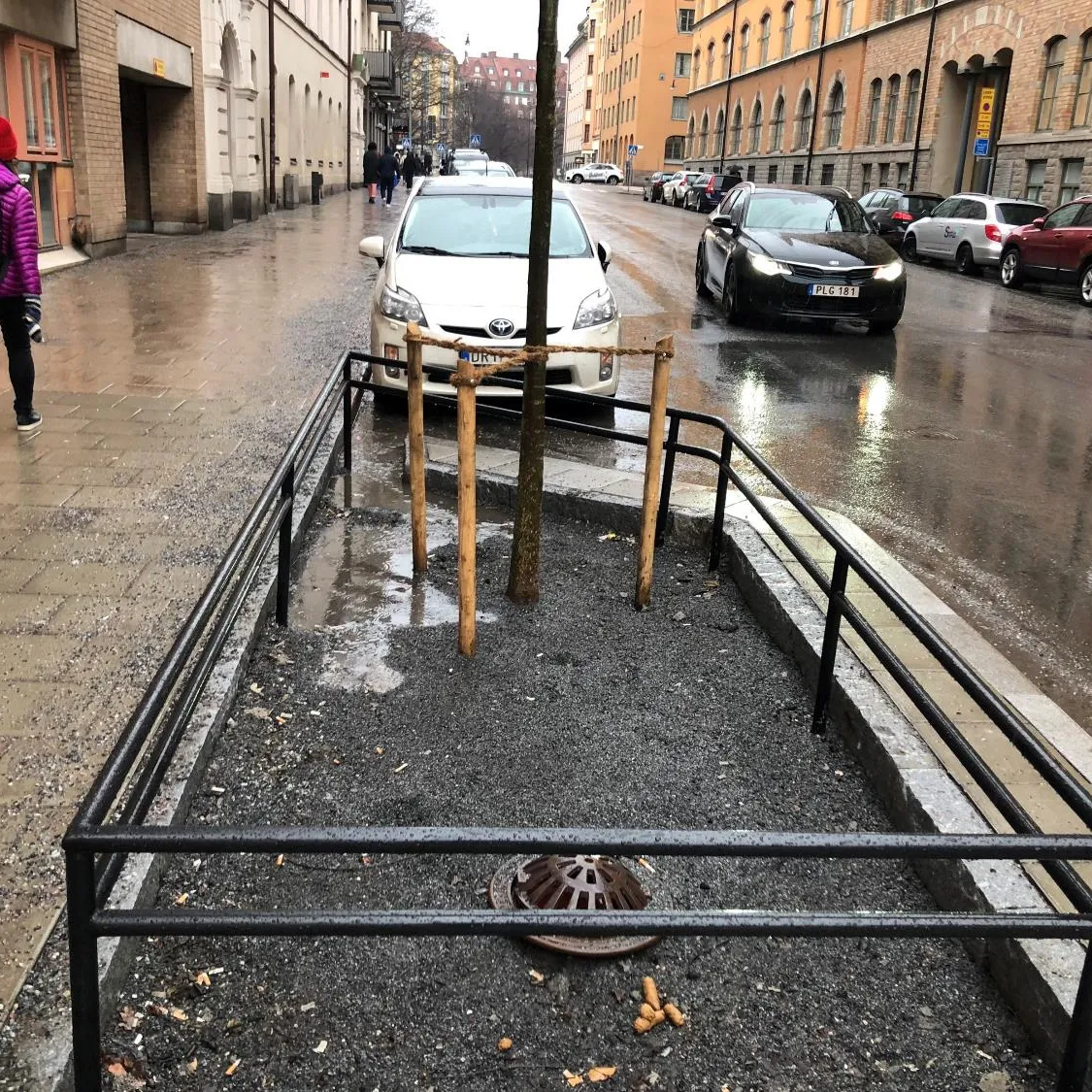 Jungbaum im offenen Schotterbeet mit Einlaufrost und Geländer