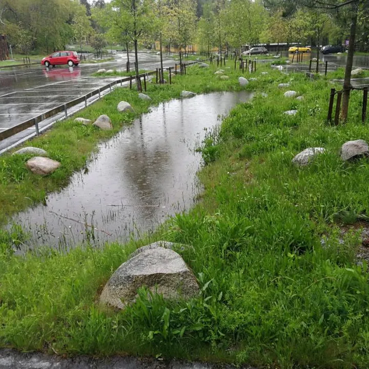 Mit Regenwasser gefüllte bepflanzte Mulde neben einem Parkplatz