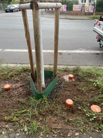 Pflanzenkohle-Projekt in Darmstadt