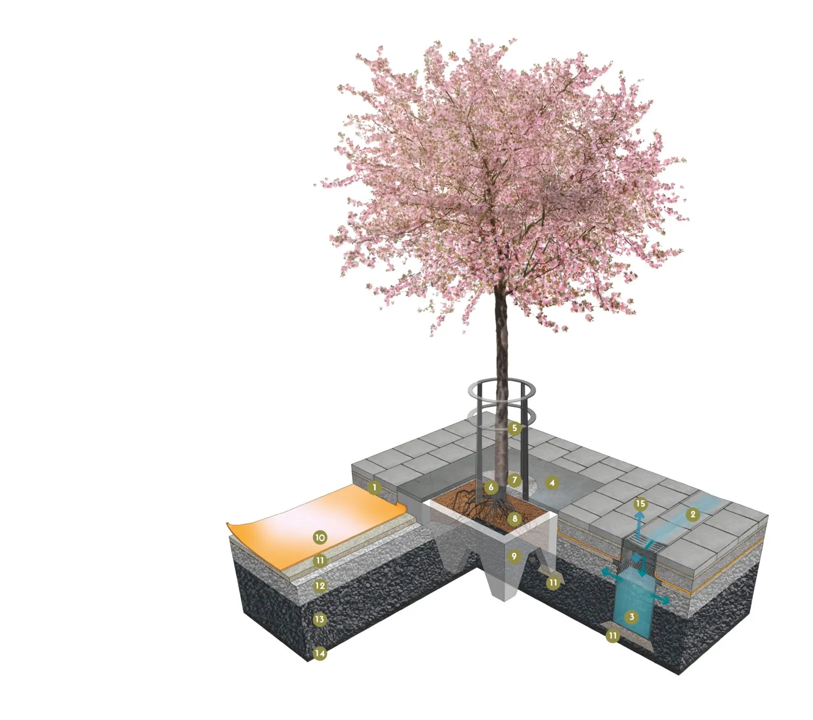 3D-Schema: Baum über einer Pflanzgrube aus feinerem Pflanzenkohle-Schotter unter Pflaster
