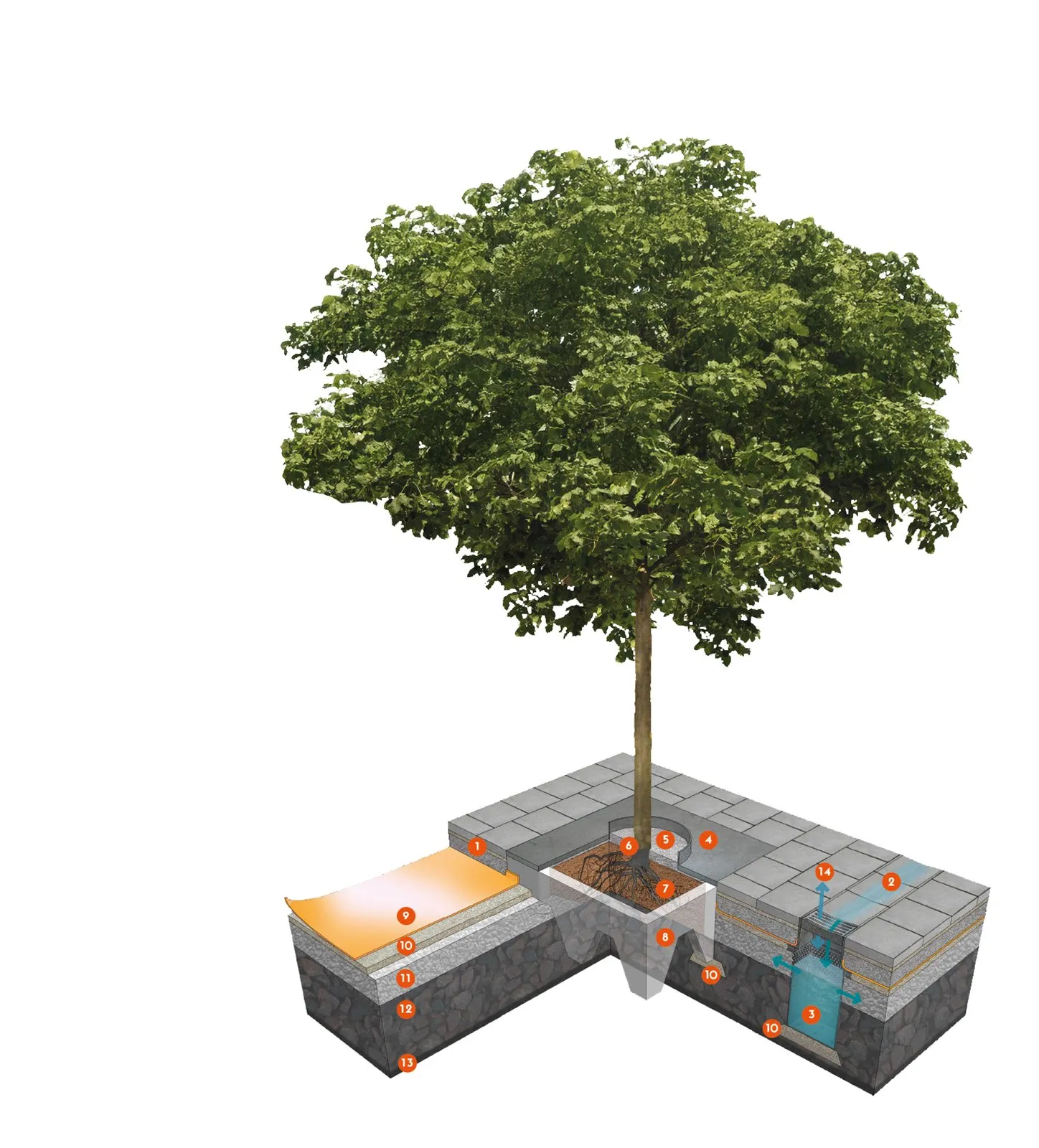 3D-Schema: Baum über einer Pflanzgrube aus grobem Schotter mit Belüftungsbrunnen unter einer gepflasterten Fläche