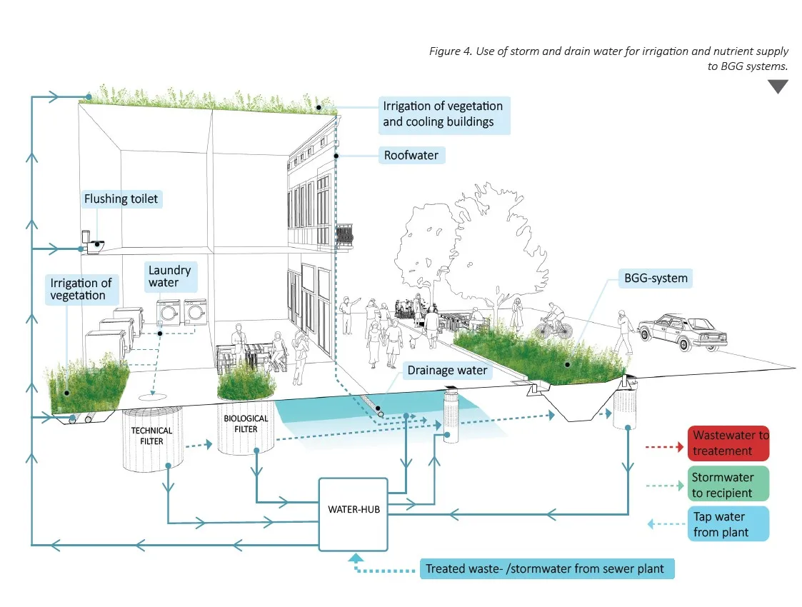 Konzeptzeichnung mit Dach- und Drainagewasser, getrenntem Waschmaschinenwasser, Filtern, Wasserspeicher und BGG-Beet