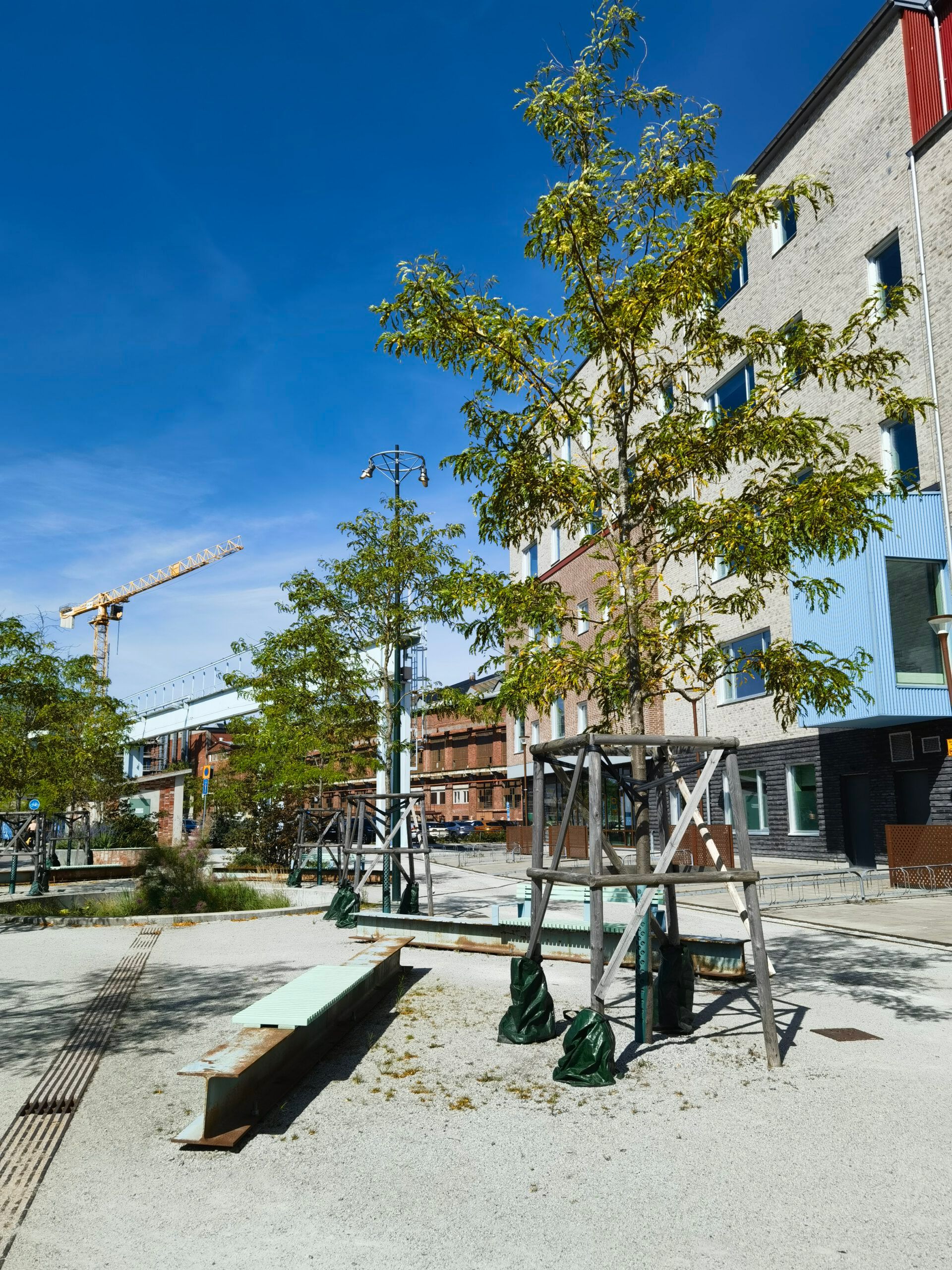 Junger Straßenbaum mit Stützgerüst in einem neuen Stadtquartier in Malmö