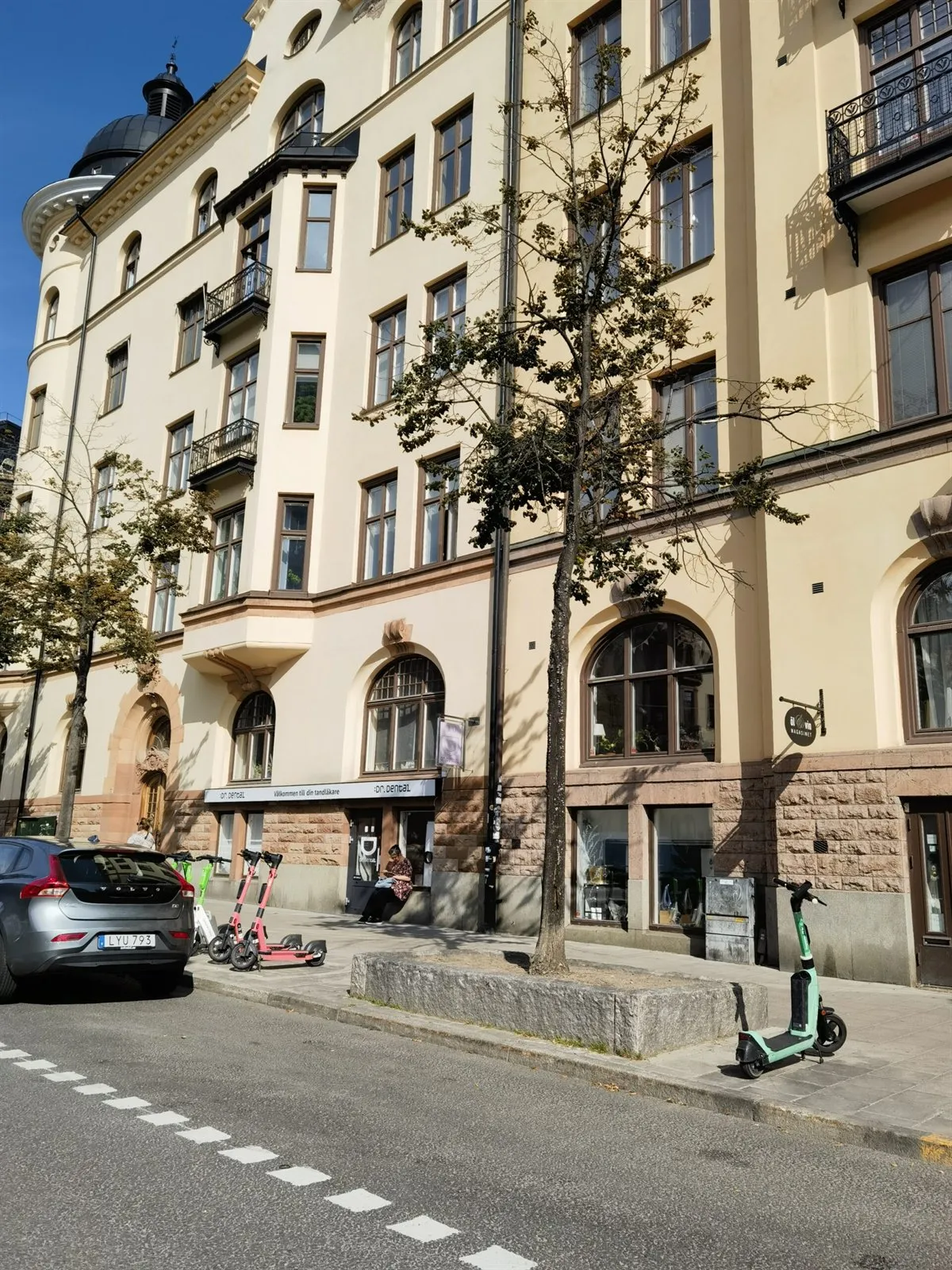 Straßenbäume vor historischen Wohnhäusern in Stockholm