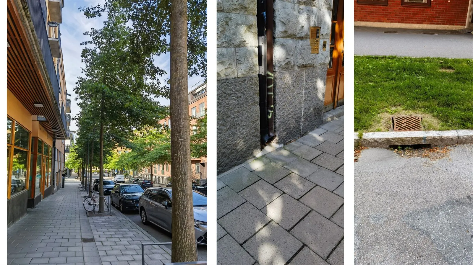 Fotocollage: Straßenbäume, Fallrohr und Rinne zur Ableitung von Dachwasser in die Baumscheibe