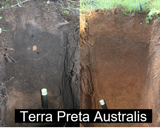 Dunkles Terra-Preta-Australis-Bodenprofil links und rötlichbrauner Nachbarboden rechts, jeweils mit Pflanzkelle
