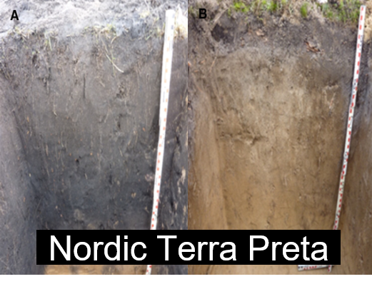 Zwei Bodenprofile mit Maßstäben: Nordic Dark Earth links und Referenzboden rechts