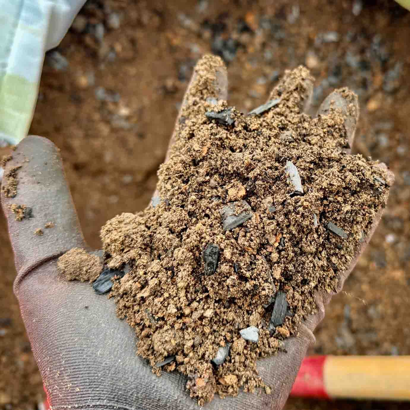 Hand im Handschuh hält eine Substratprobe